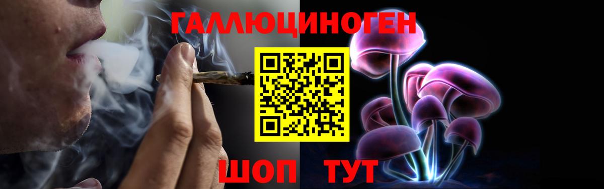 Богданович  Галлюциногенные грибы MAGIC MUSHROOMS  Вход с VPN 